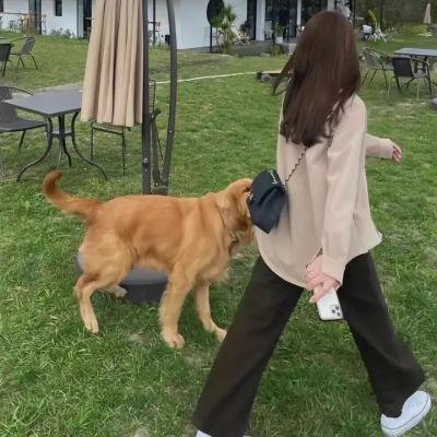 阿拉斯加人