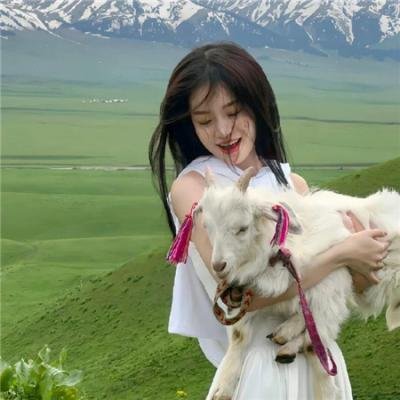 任务:偷窃巨星